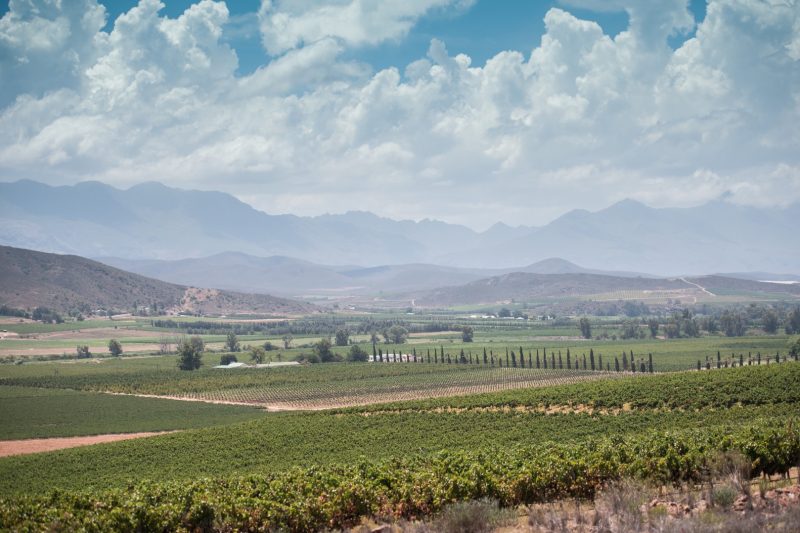 20180122-94 (Large).jpg